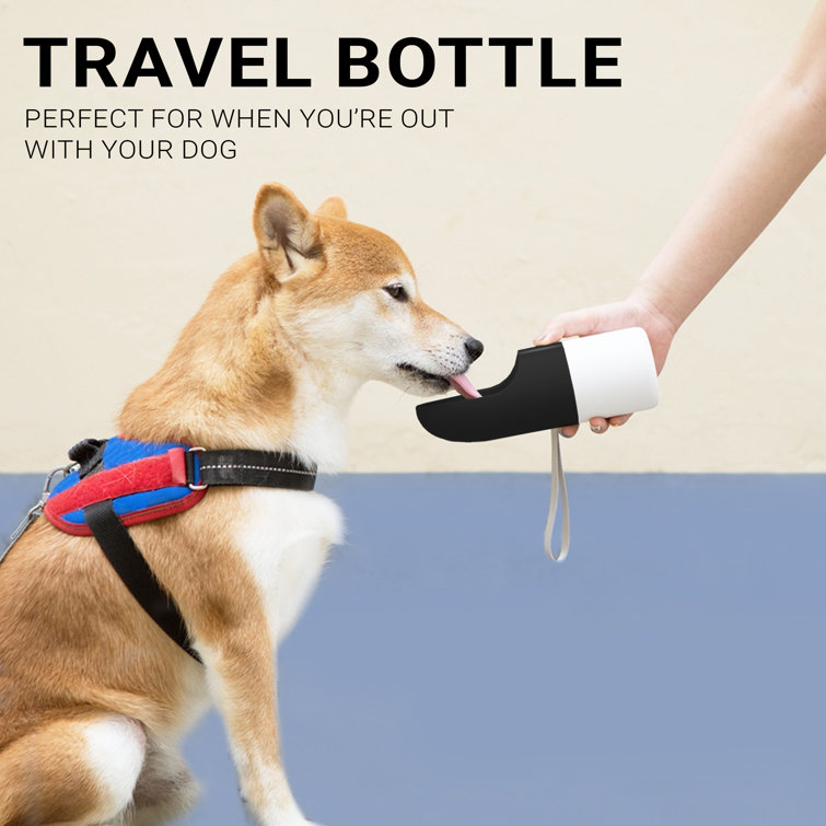 Pet travel hot sale bottle